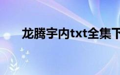 龙腾宇内txt全集下载（龙腾宇内txt）