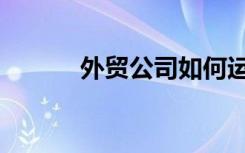 外贸公司如何运作（外贸领航）