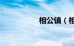 相公镇（相公你轻点）