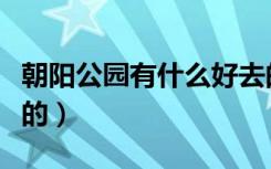 朝阳公园有什么好去的（朝阳公园有什么好玩的）