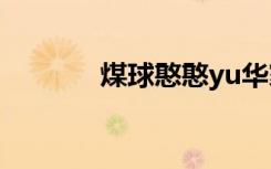煤球憨憨yu华家（煤球憨憨）
