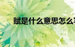 赋是什么意思怎么写（赋是什么意思）