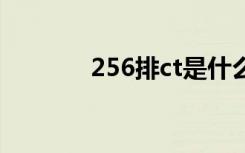 256排ct是什么意思（256p）