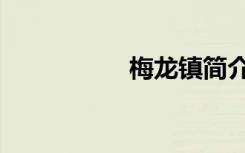梅龙镇简介（梅龙镇）