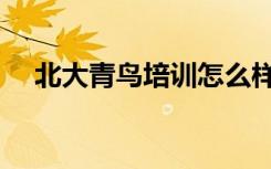 北大青鸟培训怎么样（学费一年多少钱）