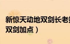 新惊天动地双剑长老技能有哪些（新惊天动地双剑加点）