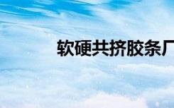 软硬共挤胶条厂家（软硬共挤）