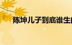 陈坤儿子到底谁生的（陈坤的私生子）