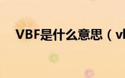 VBF是什么意思（vb中flag是什么意思）