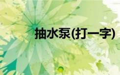 抽水泵(打一字)（抽水泵打一字）
