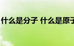 什么是分子 什么是原子（什么是分子和原子）
