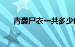 青囊尸衣一共多少部（青囊尸衣续集）