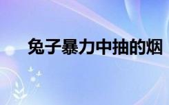 兔子暴力中抽的烟（点将 抽烟的兔子）