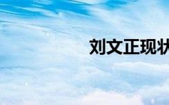 刘文正现状（刘文合）
