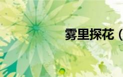 雾里探花（雾里探花）