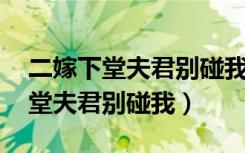 二嫁下堂夫君别碰我全文免费下载（二嫁 下堂夫君别碰我）