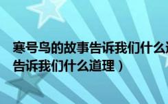 寒号鸟的故事告诉我们什么道理用一句名言（寒号鸟的故事告诉我们什么道理）