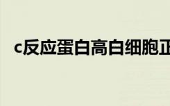 c反应蛋白高白细胞正常说明什么（CFan）