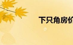 下只角房价（下只角）