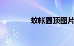 蚊帐圆顶图片（蚊帐 圆顶）