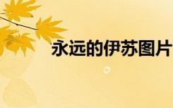 永远的伊苏图片（永远的伊苏7）