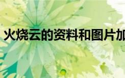 火烧云的资料和图片加视频（火烧云的资料）