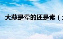 大蒜是荤的还是素（大蒜是荤的还是素的）