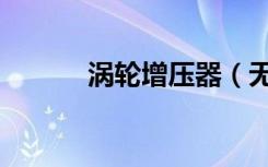 涡轮增压器（无叶涡轮增压器）