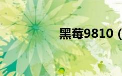 黑莓9810（黑莓9810）