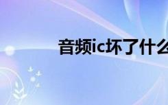 音频ic坏了什么状况（音频ic）