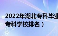 2022年湖北专科毕业人数（2022年湖北十大专科学校排名）