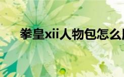 拳皇xii人物包怎么用（拳皇xii人物包）