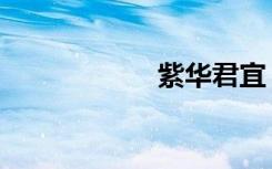 紫华君宜（紫华君）