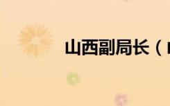 山西副局长（山西一副厅长）