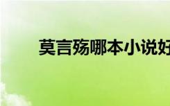 莫言殇哪本小说好看（莫言殇作品）