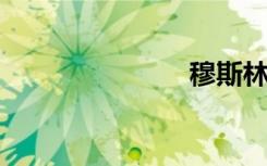 穆斯林的无知