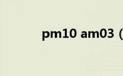 pm10 am03（pm10 am03）