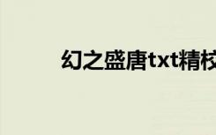 幻之盛唐txt精校（幻之盛唐txt）