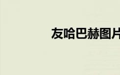 友哈巴赫图片（友哈巴赫）
