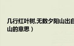 几行红叶树,无数夕阳山出自哪首诗（几行红叶树 无数夕阳山的意思）