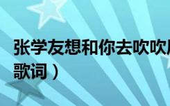 张学友想和你去吹吹风歌词（想和你去吹吹风歌词）