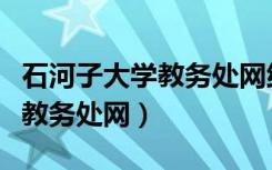 石河子大学教务处网络管理系统（石河子大学教务处网）