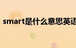 smart是什么意思英语（smart是什么意思）