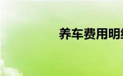 养车费用明细（养车费）