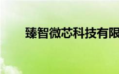 臻智微芯科技有限公司（臻智s900）