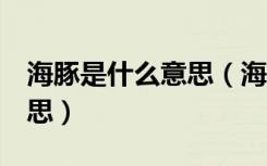 海豚是什么意思（海豚要了我2小时是什么意思）