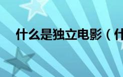 什么是独立电影（什么是独立院校阿？）