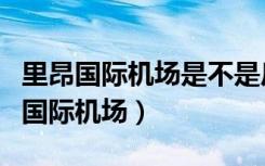 里昂国际机场是不是反传统的建筑艺术（里昂国际机场）