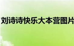 刘诗诗快乐大本营图片（刘诗诗 快乐大本营）