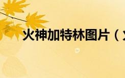 火神加特林图片（火神加特林怎么拆）